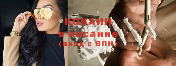 твердый Алексин