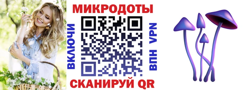 Галлюциногенные грибы ЛСД Чёрмоз