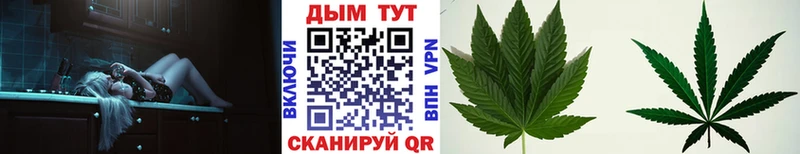 Шишки марихуана конопля  hydra ссылка  Чёрмоз 